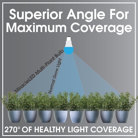 Miracle Led Multi-Plant WIDE ANGLE Blue Spectrum Grow Light, Four Socket Fixture 802927